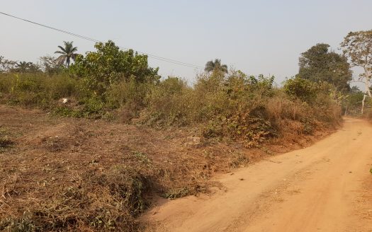 Vacant Land Isara Remo