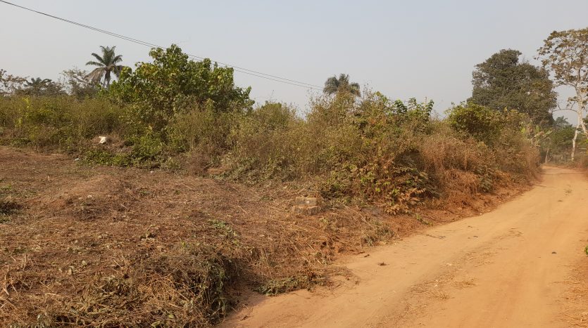 Vacant Land Isara Remo